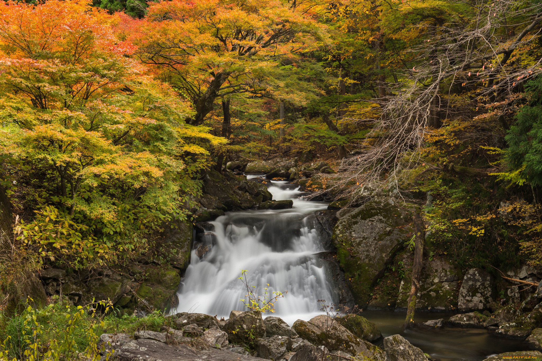 , , water, , , , , , l, stream, waterfall